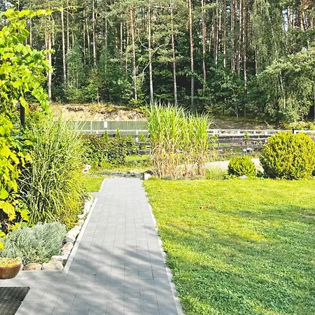 Wilk I Sowa * Zalakowo