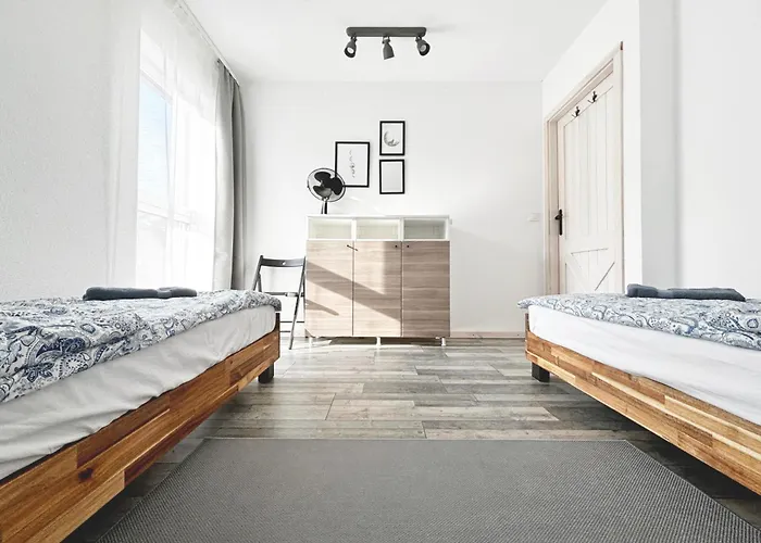 Wilk I Sowa Zalakowo